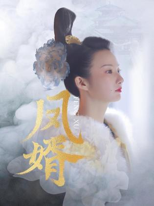 凤婿 第17集