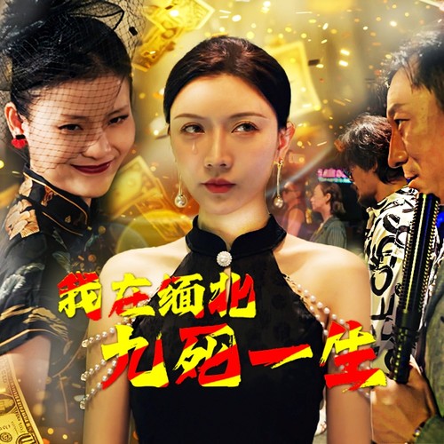 我在缅北九死一生 第26集