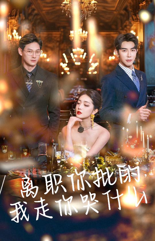 离职你批的我走你哭什么 第17集