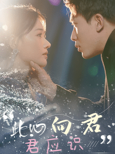 此心向君君应识 第30集