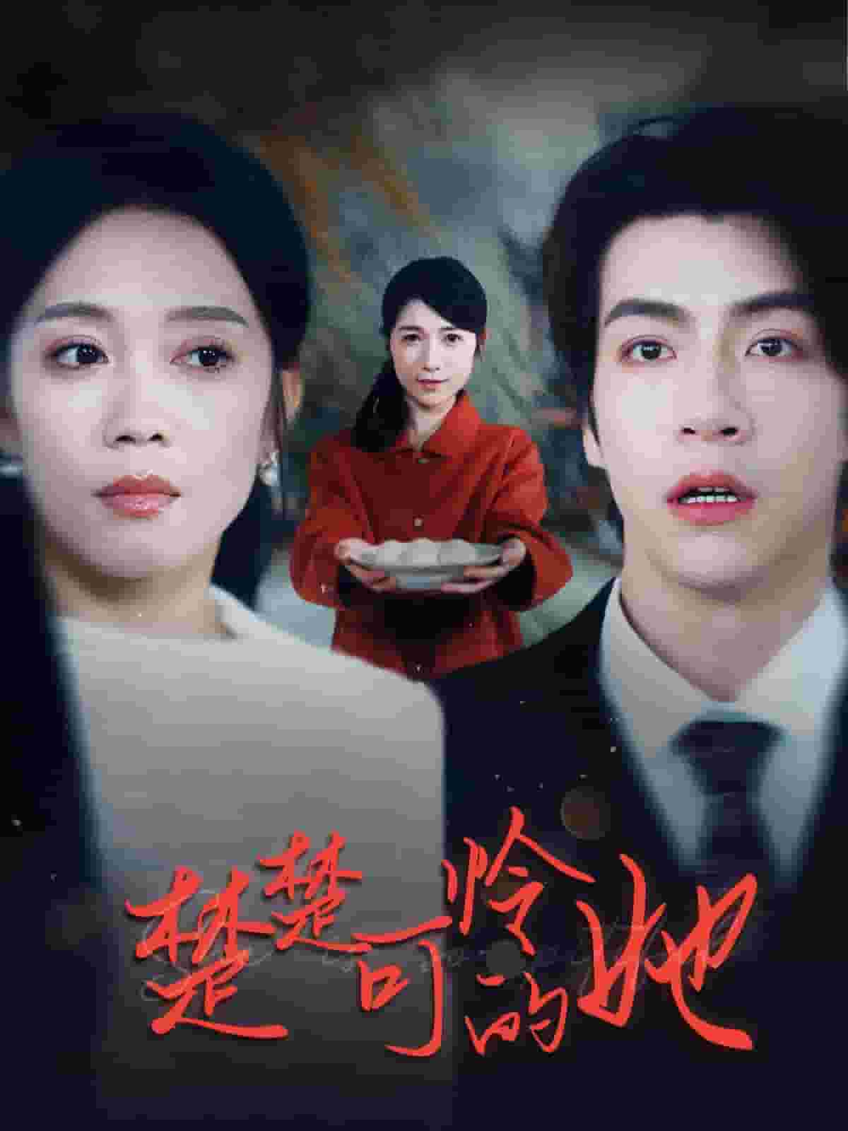 楚楚可怜的她 第29集