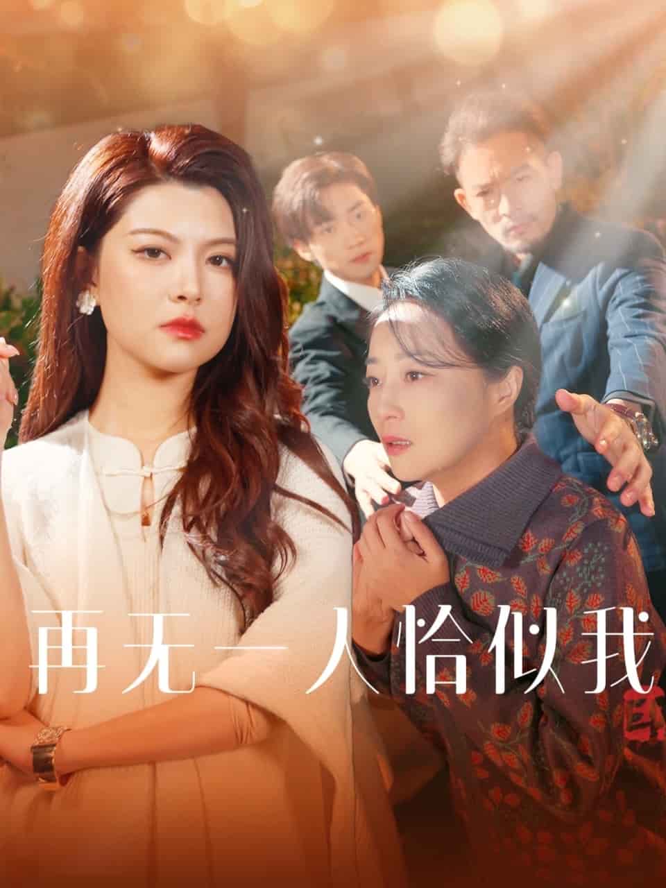 再无一人恰似我 第16集