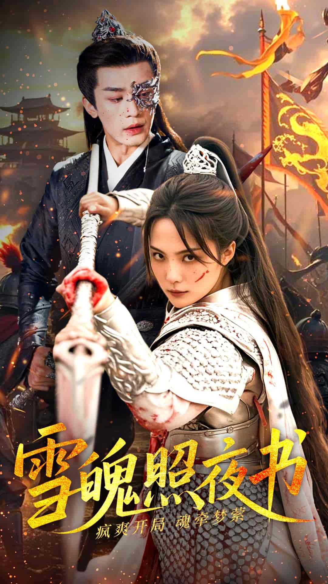 雪魄照夜书 第47集
