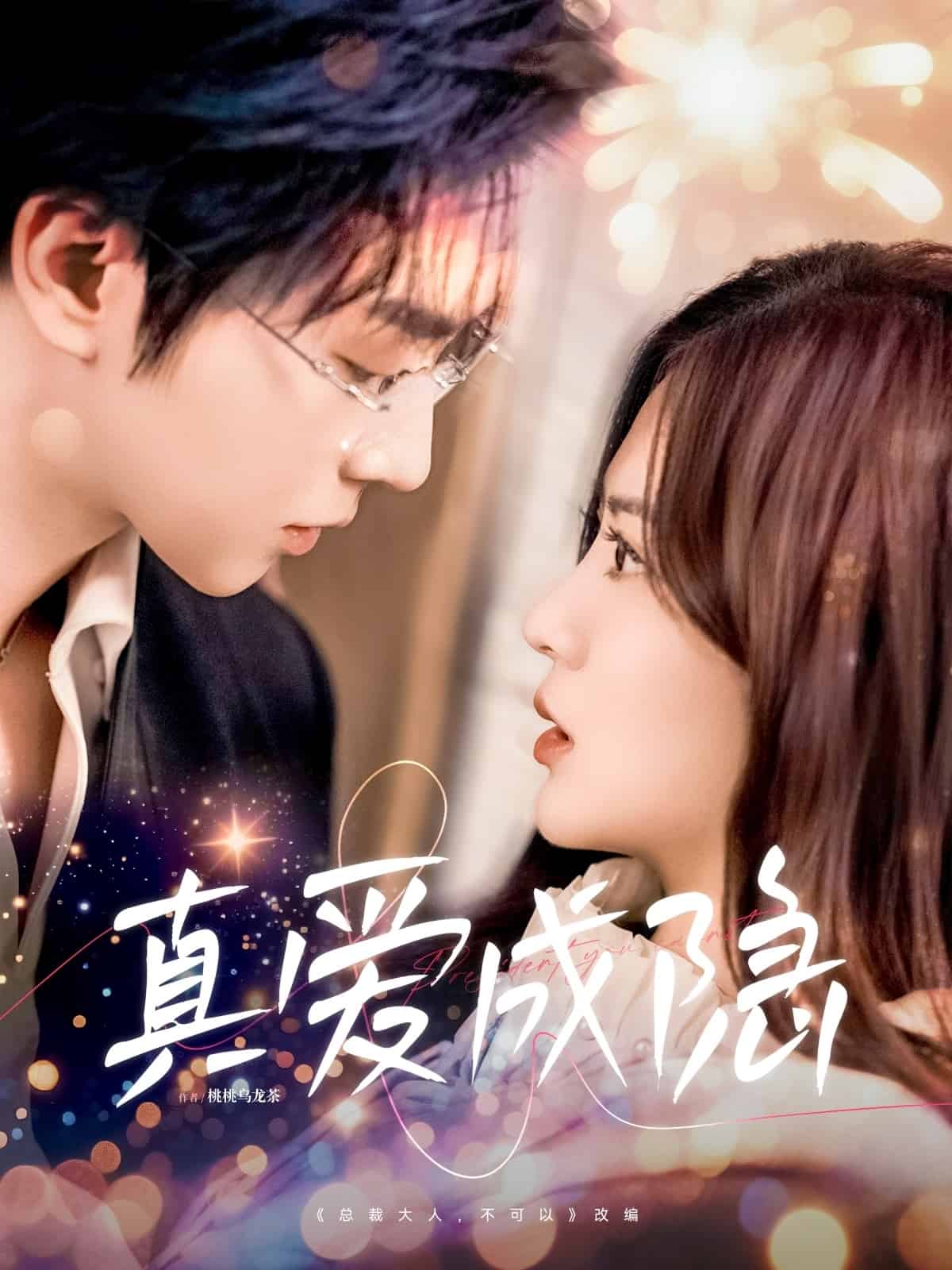 真爱成隐 第19集