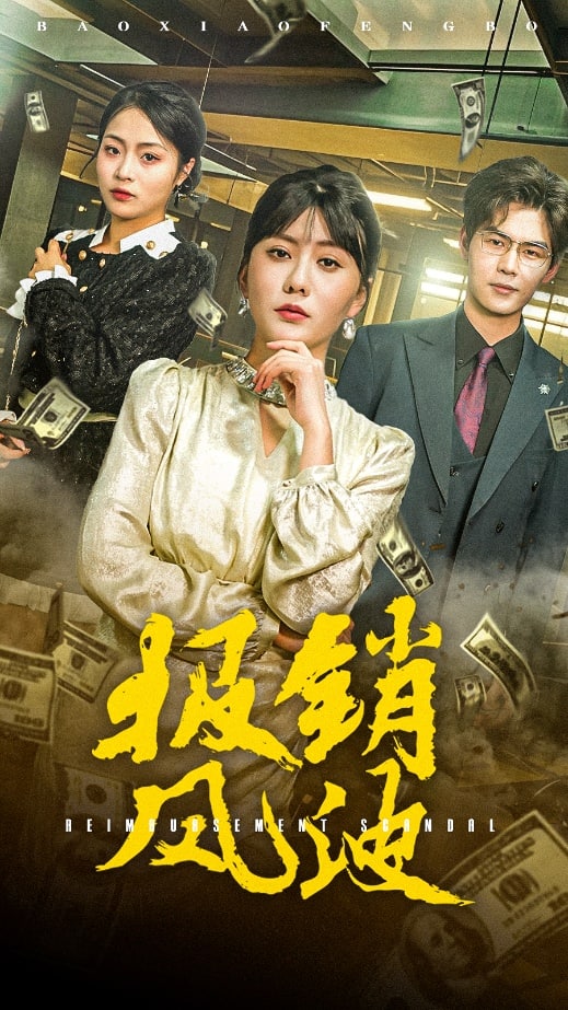 报销风波 第4集