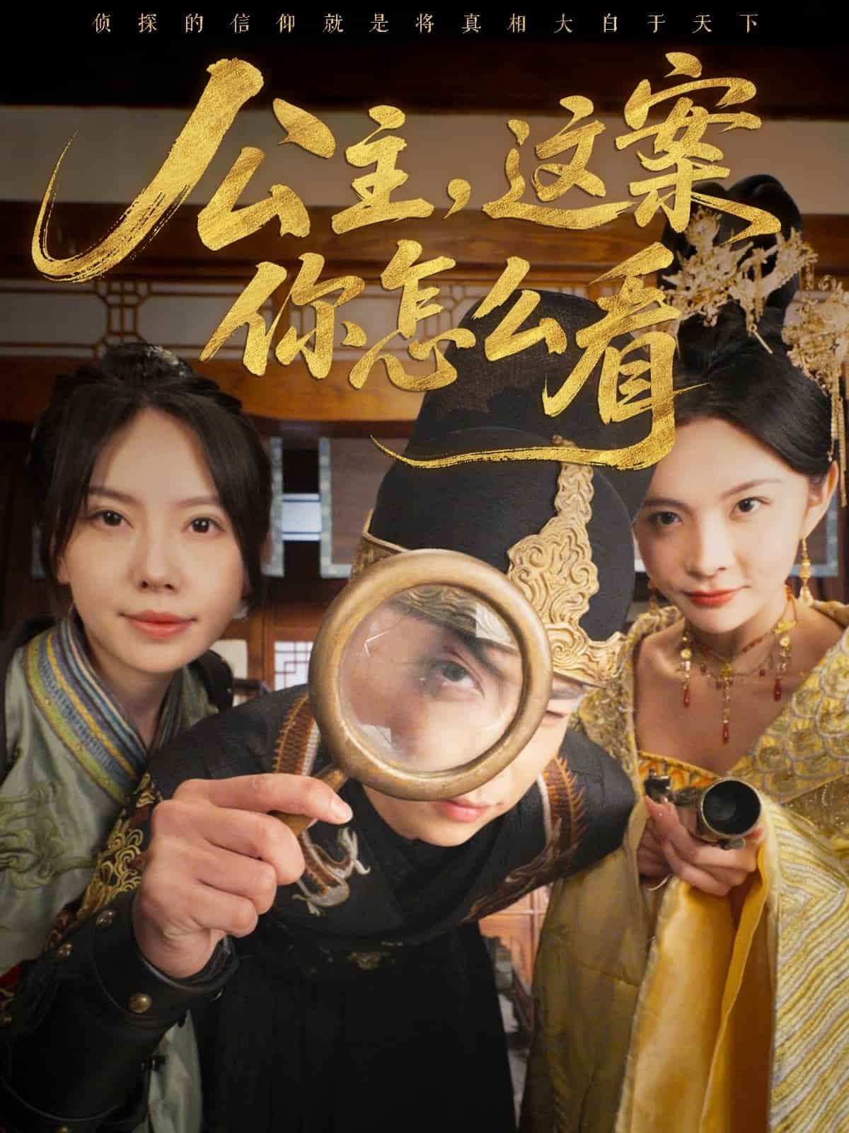 公主，这案你怎么看 第30集