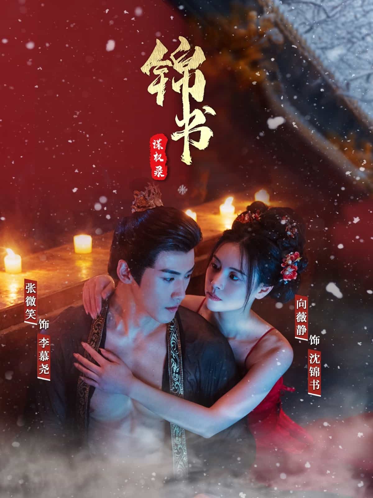 锦书谋权录 第37集