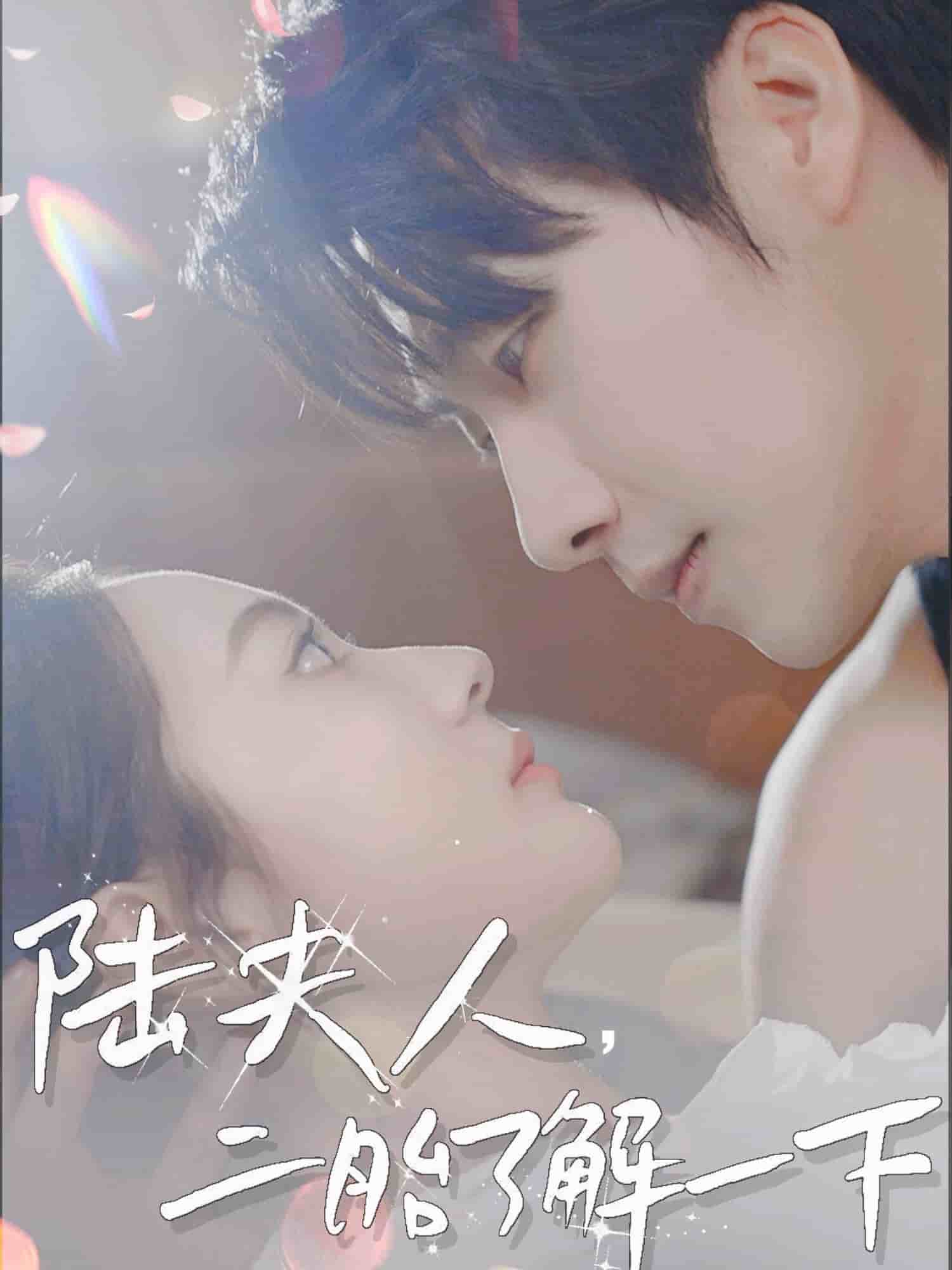 陆夫人，二胎了解一下 第9集