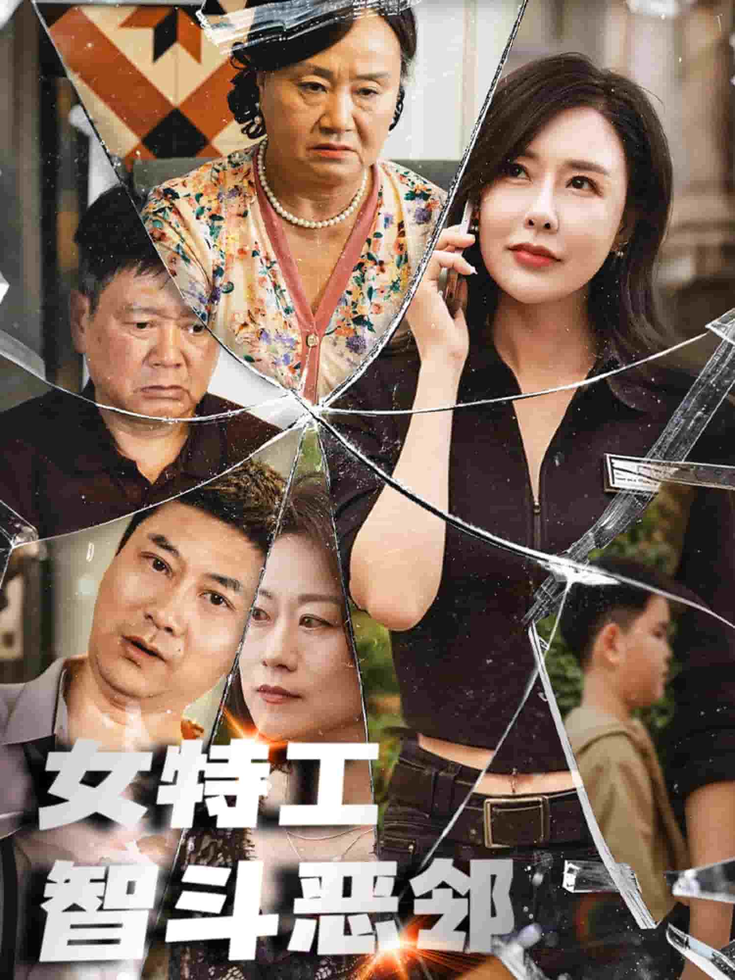 女特工智斗恶邻 第37集