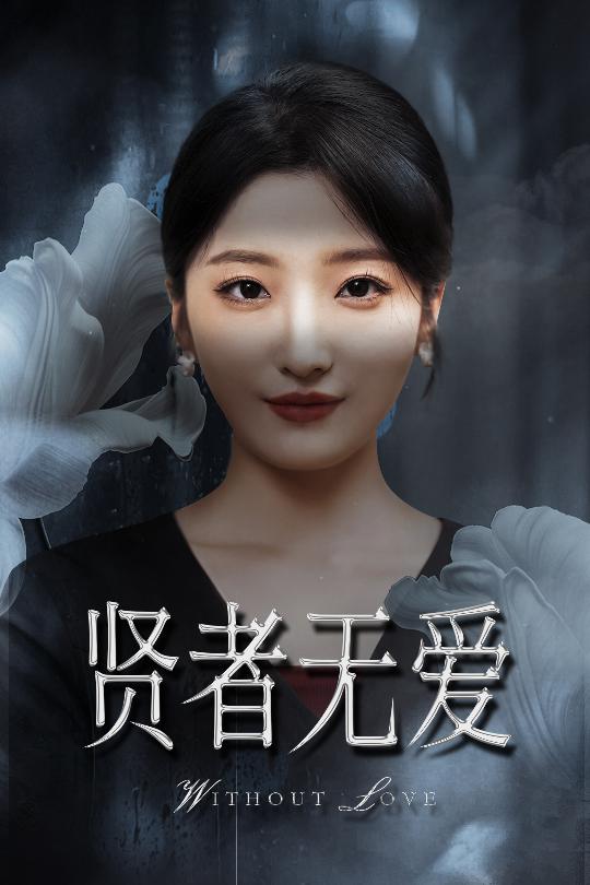 贤者无爱 第29集