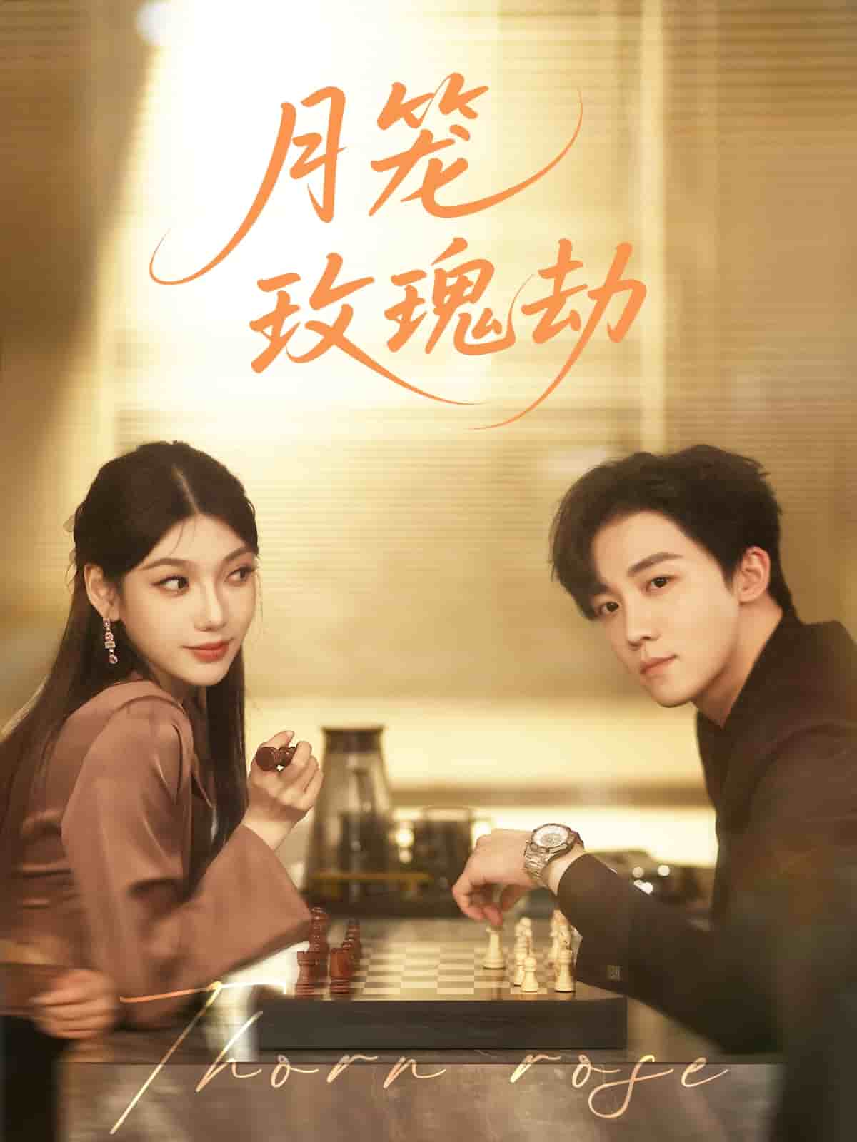 月笼玫瑰劫 第51集