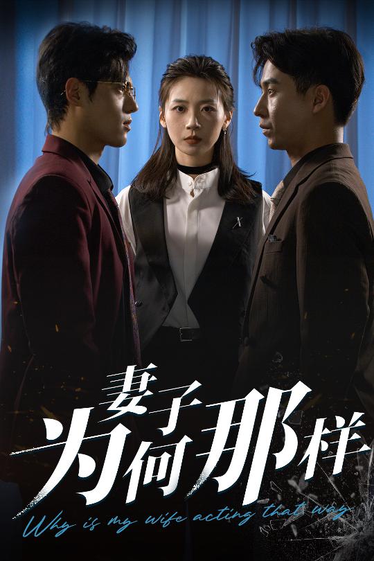 妻子为何那样 第05集