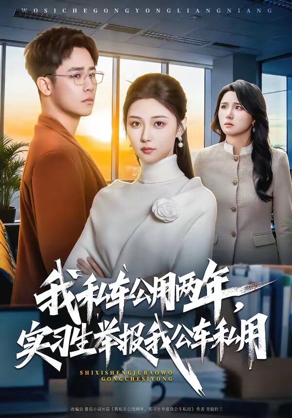 我私车公用两年，实习生举报我公车私用 第49集