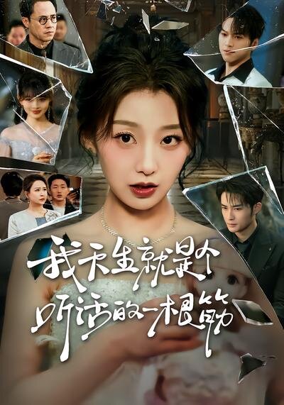 我天生就是个听话的一根筋 第09集