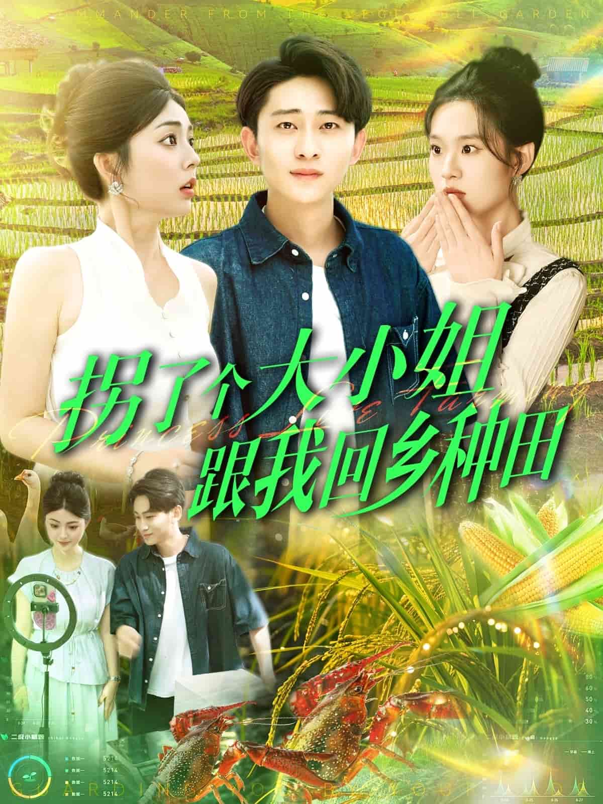拐了个大小姐跟我回乡种田(全集)